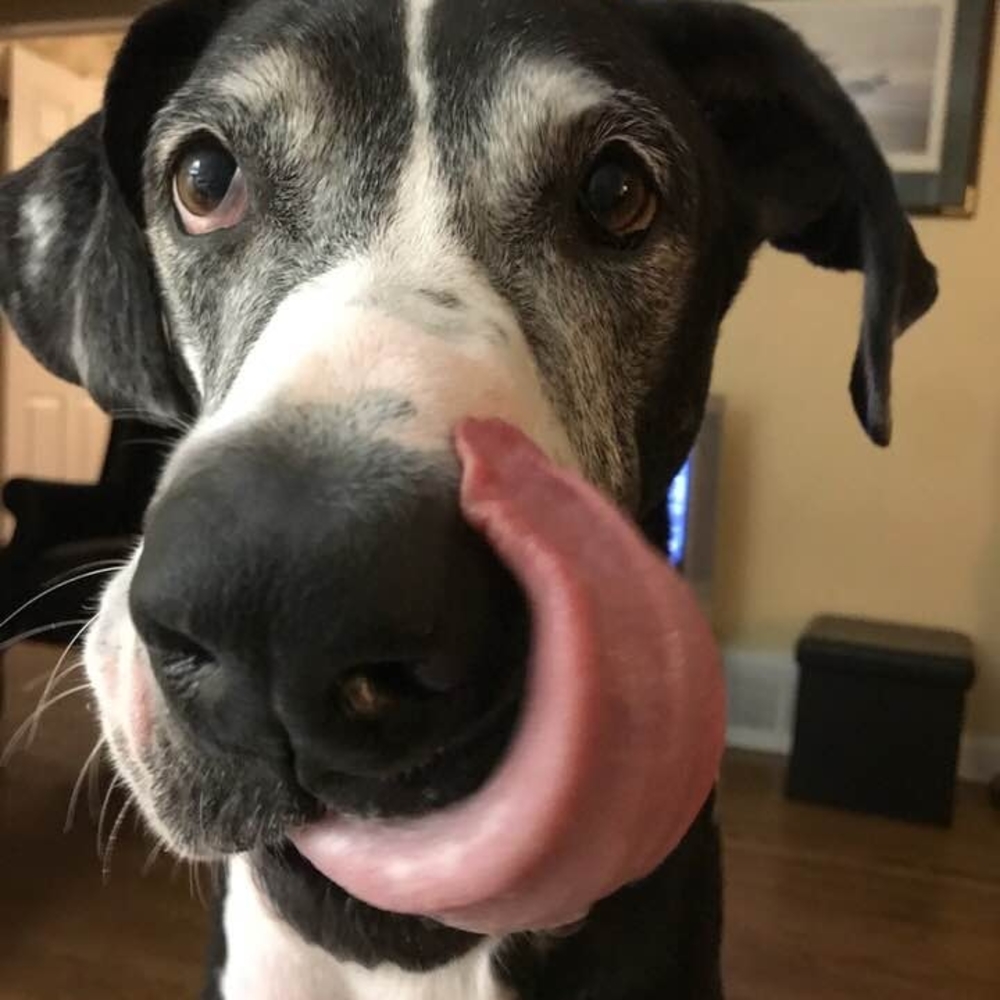 Meet your Posher, Tiffany